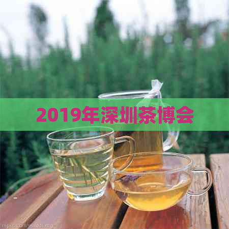 2019年深圳茶博会