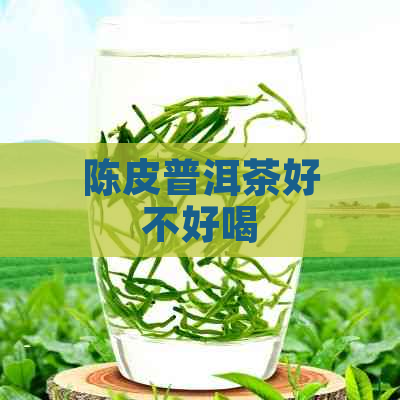 陈皮普洱茶好不好喝