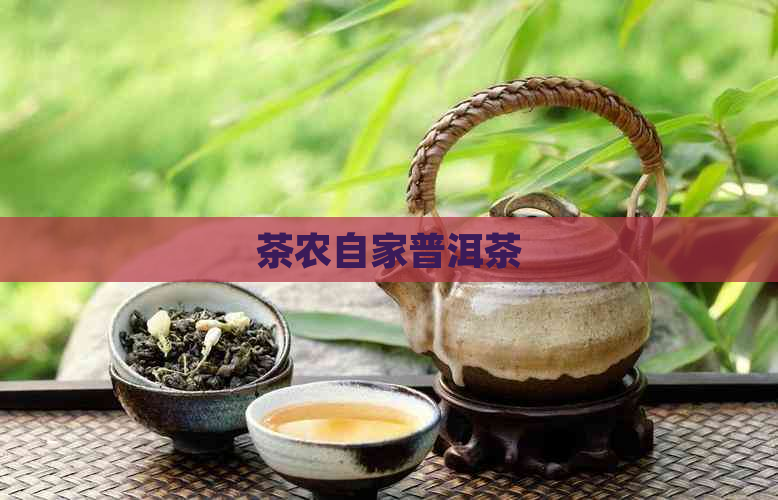 茶农自家普洱茶