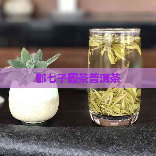 郡七子园茶普洱茶