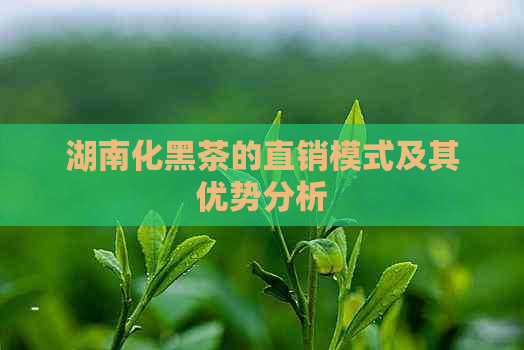 湖南化黑茶的直销模式及其优势分析