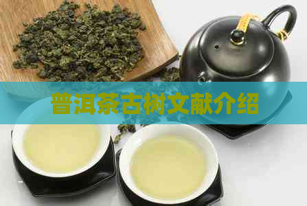 普洱茶古树文献介绍