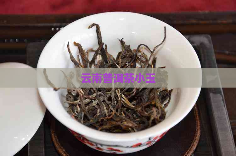 云南普洱茶小玉