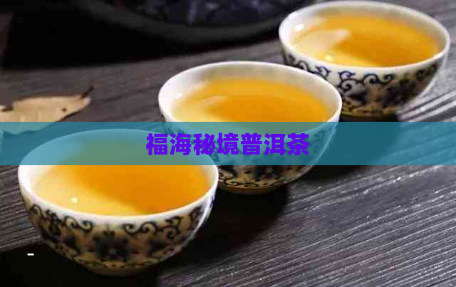 福海秘境普洱茶