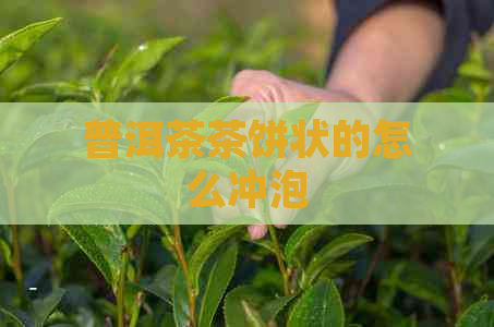 普洱茶茶饼状的怎么冲泡