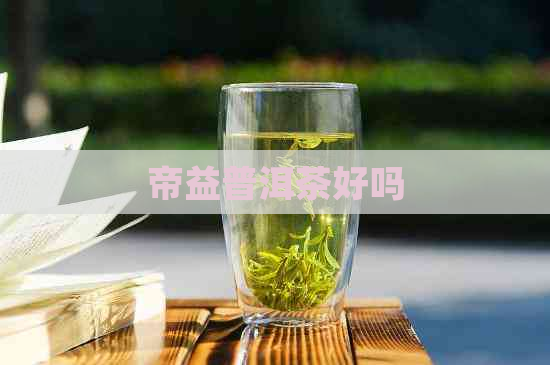 帝益普洱茶好吗