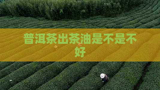 普洱茶出茶油是不是不好