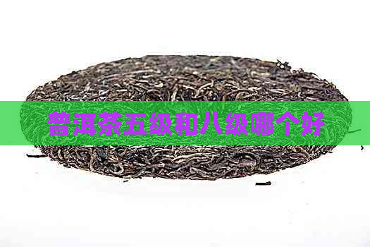 普洱茶五级和八级哪个好