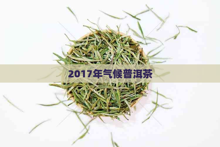 2017年气候普洱茶