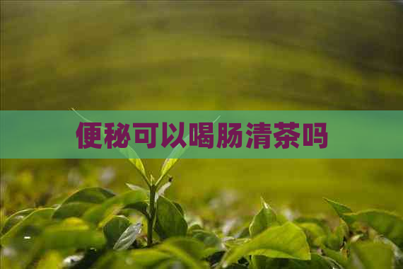 便秘可以喝肠清茶吗