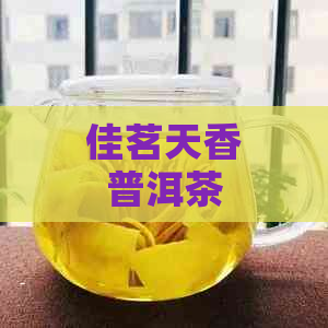 佳茗天香普洱茶