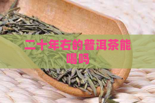 二十年右的普洱茶能喝吗