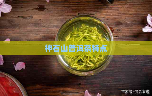 神石山普洱茶特点