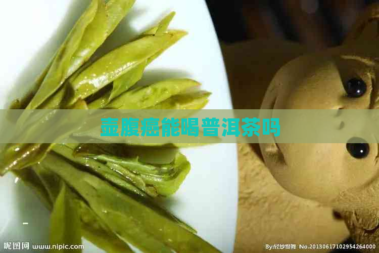 壶腹癌能喝普洱茶吗