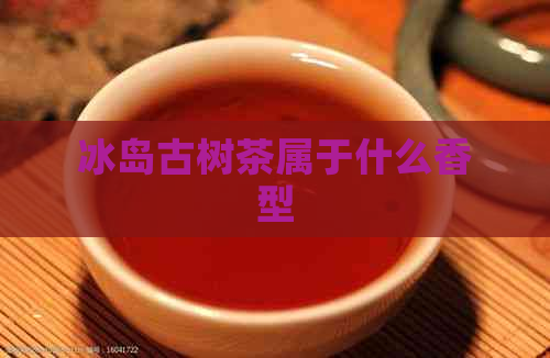 冰岛古树茶属于什么香型