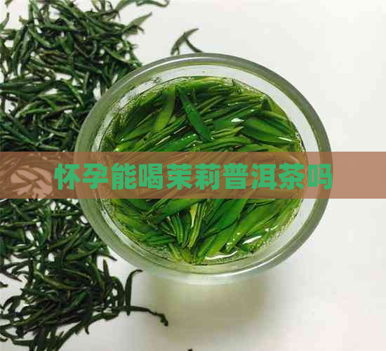 怀孕能喝茉莉普洱茶吗