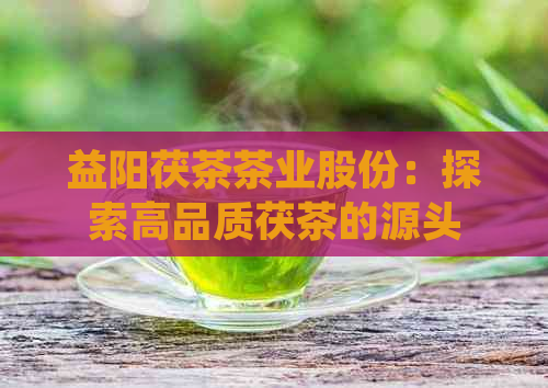 益阳茯茶茶业股份：探索高品质茯茶的源头，了解生产工艺与口感特点