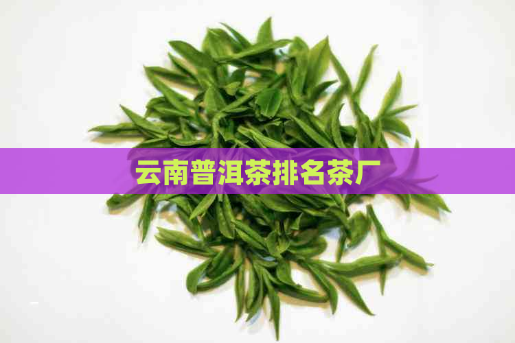 云南普洱茶排名茶厂