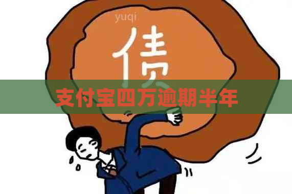 支付宝四万逾期半年