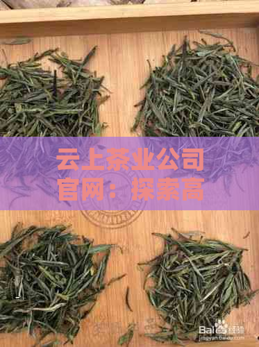 云上茶业公司官网：探索高品质茶叶的完整指南，了解茶叶制作工艺与品鉴技巧