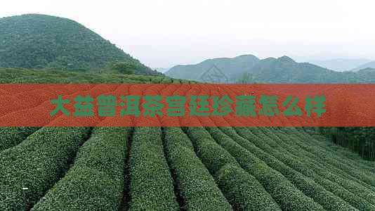 大益普洱茶宫廷珍藏怎么样