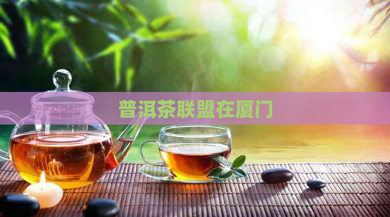 普洱茶联盟在厦门