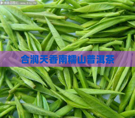 合润天香南糯山普洱茶