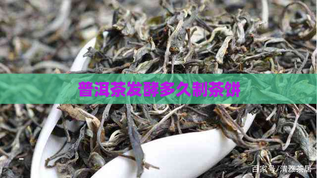 普洱茶发酵多久制茶饼