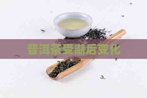 普洱茶受潮后变化