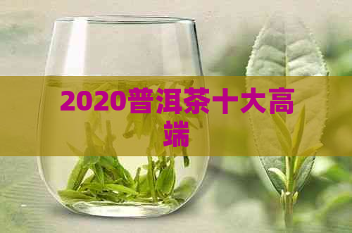 2020普洱茶十大高端