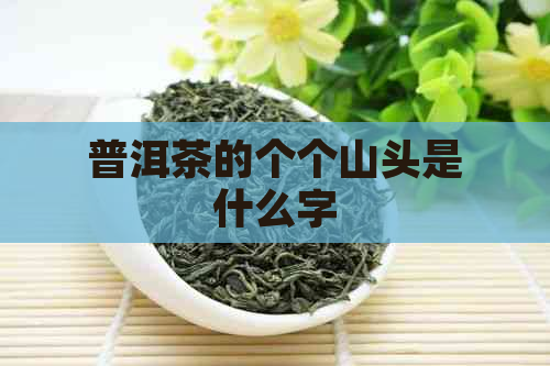 普洱茶的个个山头是什么字