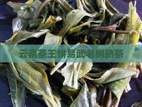 云南茶王饼易武老树熟茶