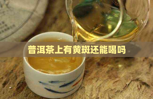 普洱茶上有黄斑还能喝吗