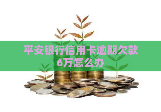 平安银行信用卡逾期欠款6万怎么办