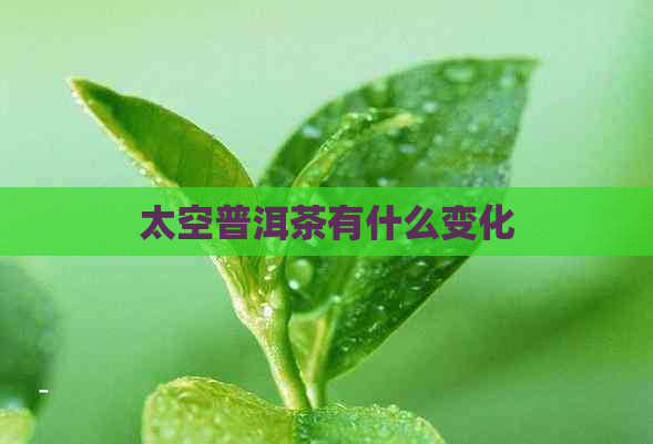 太空普洱茶有什么变化