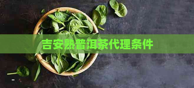 吉安熟普洱茶代理条件