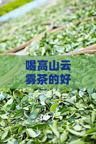 喝高山云雾茶的好处