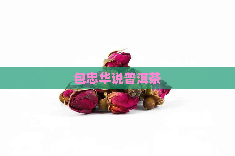 包忠华说普洱茶