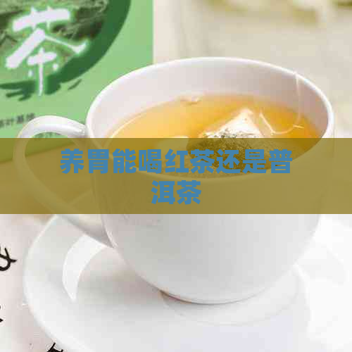 养胃能喝红茶还是普洱茶