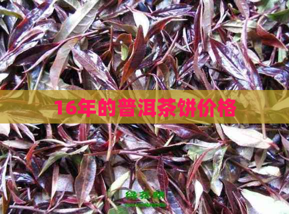 16年的普洱茶饼价格