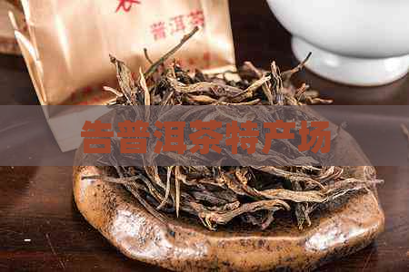 告普洱茶特产场