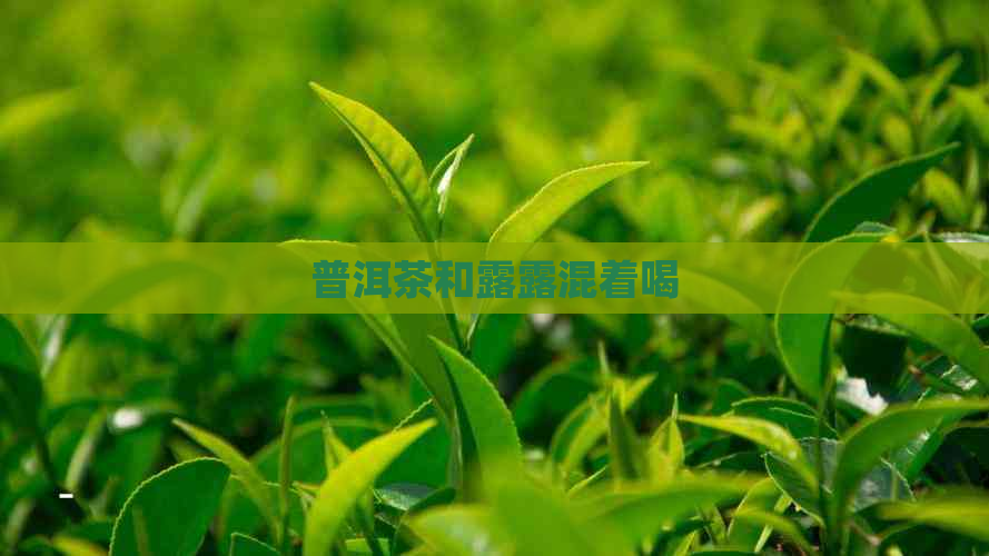 普洱茶和露露混着喝