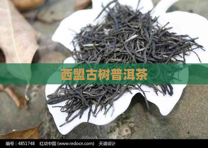 西盟古树普洱茶