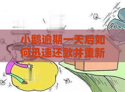 小鹅逾期一天后如何迅速还款并重新申请贷款？