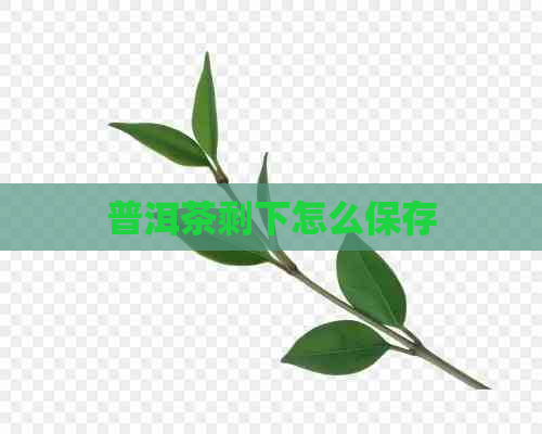 普洱茶剩下怎么保存