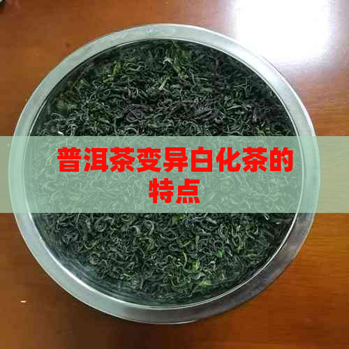 普洱茶变异白化茶的特点