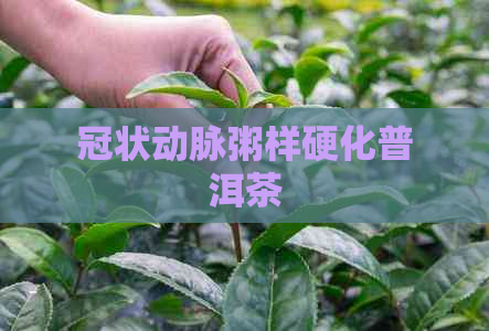 冠状动脉粥样硬化普洱茶