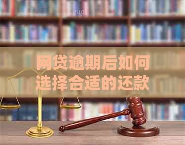 网贷逾期后如何选择合适的还款方式：分期还款是否可行？