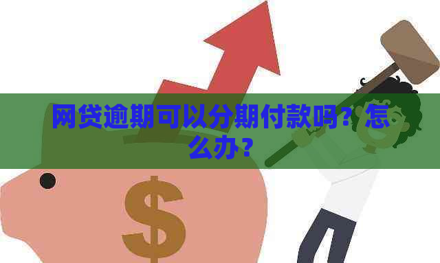 网贷逾期可以分期付款吗？怎么办？