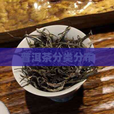 普洱茶分类分布